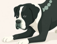 Hundephysiotherapie Ralf Fösgen